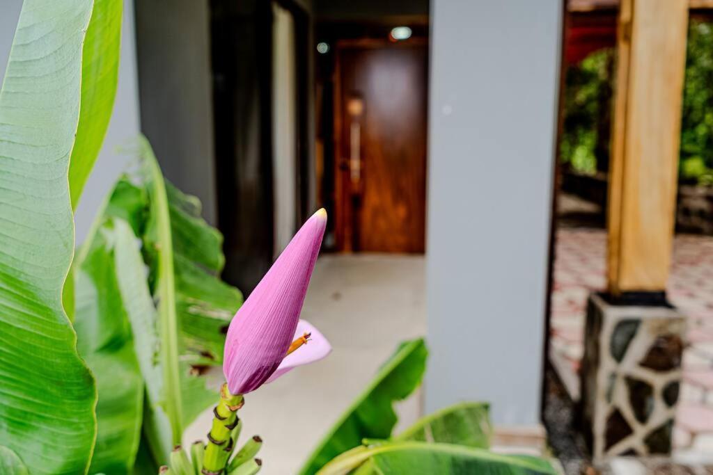 Cloud Forest House Monteverdes Exterior foto